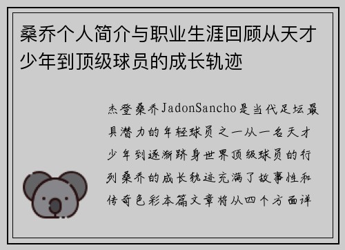 桑乔个人简介与职业生涯回顾从天才少年到顶级球员的成长轨迹